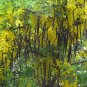 Golden Shower Tree 100 Seeds Cassia fistula