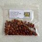Golden Shower Tree 100 Seeds Cassia fistula