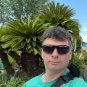 Sago Palm  Cycas revoluta  5 Seeds