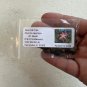 Floss-Silk Tree Chorisia speciosa 10 Seeds