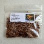 Silk Oak  100 Seeds  Grevillea robusta