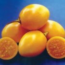 Yellow Tamarillo Tree Tomato Cyphomandra betacea 20 Seeds