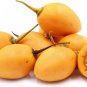 Yellow Tamarillo Tree Tomato Cyphomandra betacea 20 Seeds