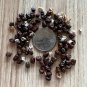 American Groundnut Apios americana 20 Seeds