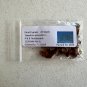 Pond Cypress Taxodium ascendens 20 Seeds