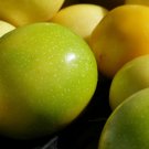 Yellow Passion Fruit Granadilla Passiflora edulis 20 Seeds Yellow Passion Fruit Granadilla Passiflora edulis 20 Seeds