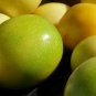 Yellow Passion Fruit Granadilla Passiflora edulis 20 Seeds