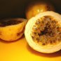 Yellow Passion Fruit Granadilla Passiflora edulis 20 Seeds