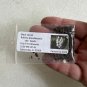 Black Locust 100 Seeds Robinia Pseudoacacia