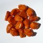 Coontie  Zamia floridana  10 Seeds