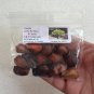 Coontie  Zamia floridana  10 Seeds