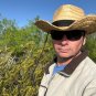Creosote Bush Larrea tridentanta 100 Seeds