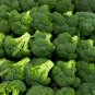 Broccoli 100 Seeds Brassica oleracea