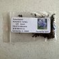 Pickeralweed Pontederia cordata 100 Seeds
