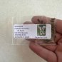 Yellowwood 20 Seeds Cladrastis kentuckea