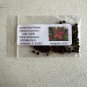 Scarlet Rose Mallow Hibiscus coccineus 100 Seeds