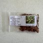 Medlar Mespilus germanica 100 Seeds