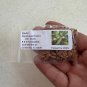 Medlar Mespilus germanica 100 Seeds