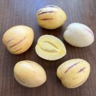 Pepino Melon 10 Seeds Solanum muricatum