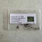 Scorpion-Tail Butterfly Heliotrope Heliotropium angiospermum 20 Seeds