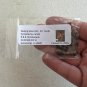 Sealing Wax Palm Cyrtostachys renda 20 Seeds