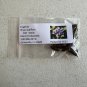 Frogfruit Groundcover 50 Seeds Phyla nodiflora