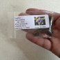Frogfruit Groundcover 50 Seeds Phyla nodiflora