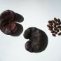 Monkey Earpod Tree Enterolobium contortisiliquum 10 Pods