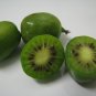 Hardy Kiwi 100 Seeds Actinidia arguta