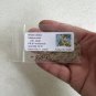 Yellow Catalpa Catalpa ovata 100 Seeds
