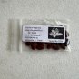 Southern Magnolia Magnolia grandiflora 20 Seeds