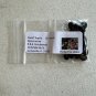 Dwarf Tupelo Tree Bear Tupelo Nyssa ursina 10 Seeds