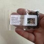 Dwarf Tupelo Tree Bear Tupelo Nyssa ursina 10 Seeds