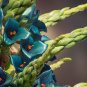 Puya Bromeliad Puya alpestris 100 Seeds