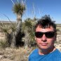 Soap Tree Yucca Yucca elata 100 Seeds