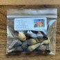 Geiger Tree 10 Seeds Cordia sebestena