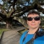 Live Oak  Quercus virginiana  10 Seeds