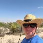 Faxon Yucca 10 Seeds Yucca faxoniana
