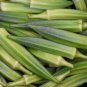 Okra Abelmoschus esculentus 100 Seeds