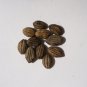 Swamp Tupelo Nyssa biflora 10 Seeds