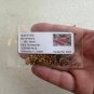 Yaupon Holly Ilex vomitoria 100 Seeds