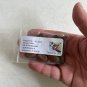 Pawpaw Tree Asimina triloba 10 Seeds