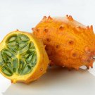 Horned Melon  10 Seeds  Kiwano  Cucumis metuliferus