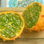 Horned Melon  10 Seeds  Kiwano  Cucumis metuliferus
