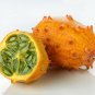 Horned Melon  10 Seeds  Kiwano  Cucumis metuliferus