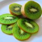 Kiwi Fruit Actinidia deliciosa 100 Seeds