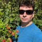 Orange Lantana Shrub Verbana Lantana camara 100 Seeds