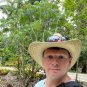 Coral Plant Jatropha multifida 5 Seeds