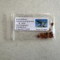 Green Birdflower 5 Seeds Crotalaria cunninghamii