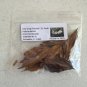 Two-wing Silverbell Halesia diptera 10 Seeds